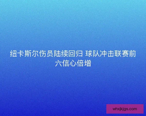 纽卡斯尔伤员陆续回归 球队冲击联赛前六信心倍增