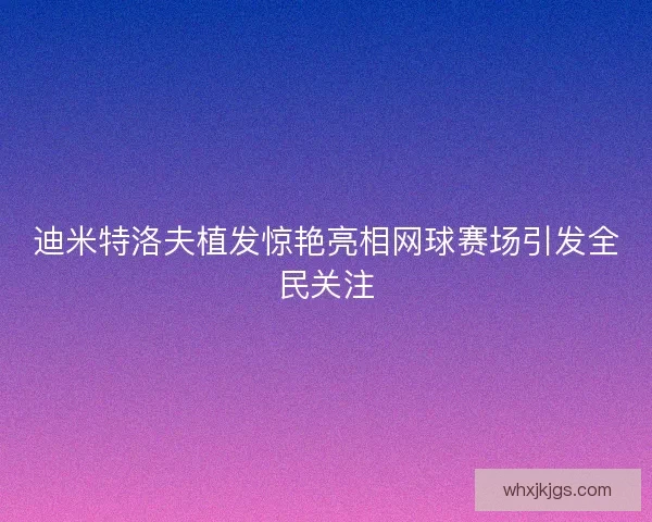 迪米特洛夫植发惊艳亮相网球赛场引发全民关注
